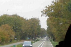 DSCN5641