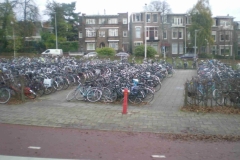 DSCN5674