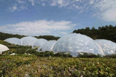 Biomes