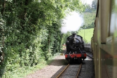 Steam Train