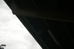 DSCN5964