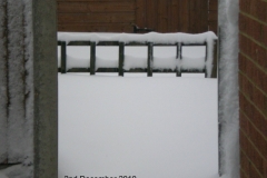 DSCN2262