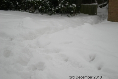 DSCN2274