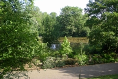 DSCN5436