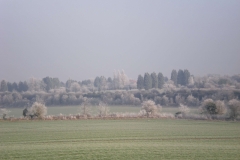 DSCN0352