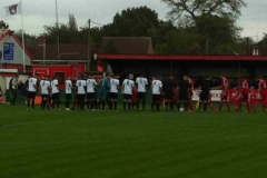hemel9