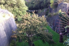 IMG0573