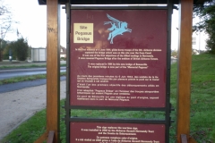 DSCN3667