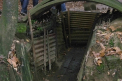 DSCN0842