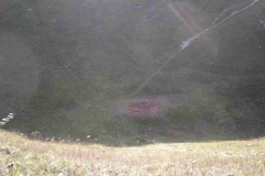 DSCN0906