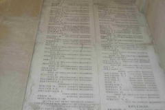 DSCN1059