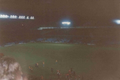 Villa Park 4