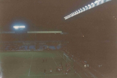 Villa Park 5