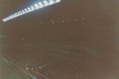 Villa Park 6