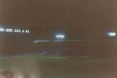Villa Park 7