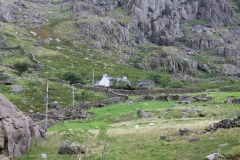 NW131