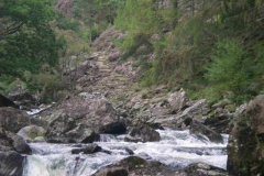 NW162