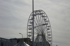 DSCN4392