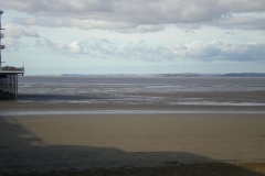 DSCN4398