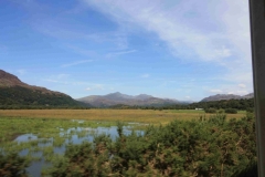NW16