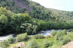 NW17