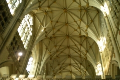 DSCN3125