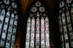 DSCN3132