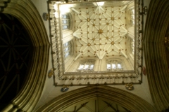 DSCN3138