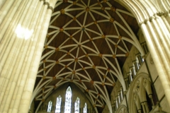 DSCN3139