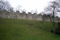 DSCN3152